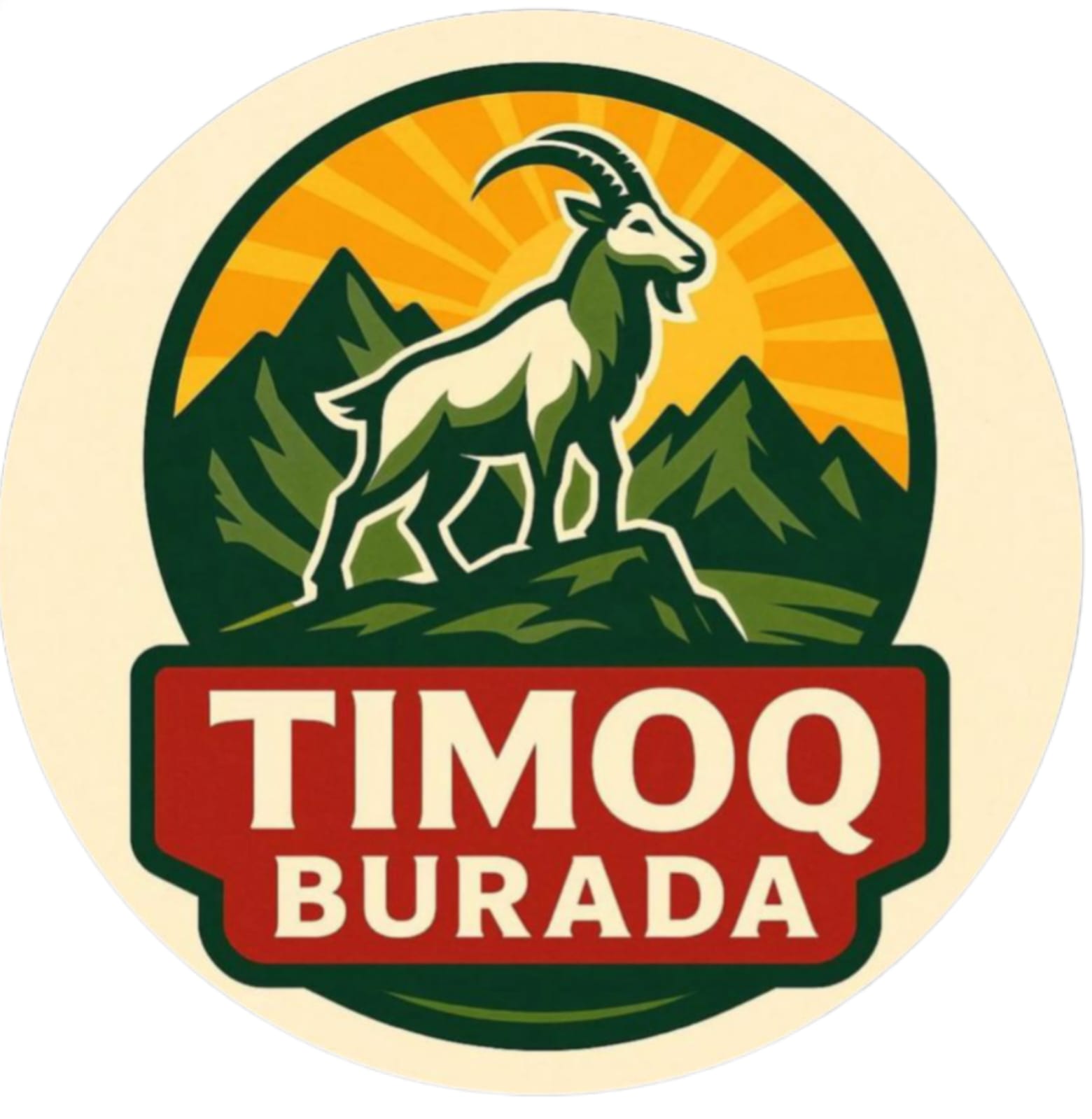 Timoq Logo